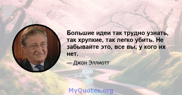 Большие идеи так трудно узнать, так хрупкие, так легко убить. Не забывайте это, все вы, у кого их нет.