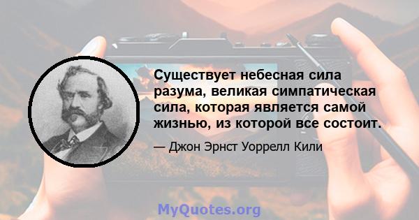 Существует небесная сила разума, великая симпатическая сила, которая является самой жизнью, из которой все состоит.