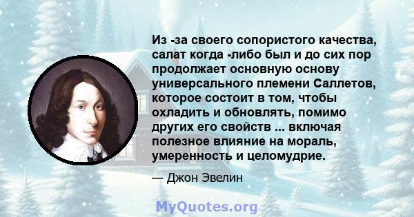 Из -за своего сопористого качества, салат когда -либо был и до сих пор продолжает основную основу универсального племени Саллетов, которое состоит в том, чтобы охладить и обновлять, помимо других его свойств ... включая 