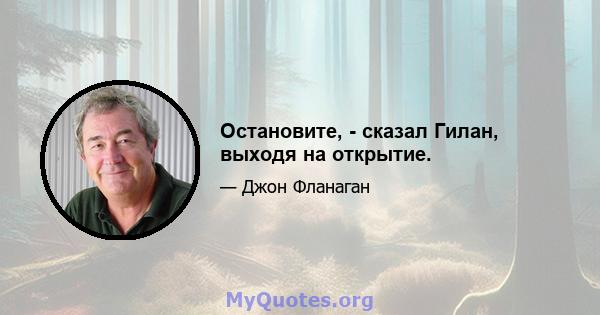 Остановите, - сказал Гилан, выходя на открытие.