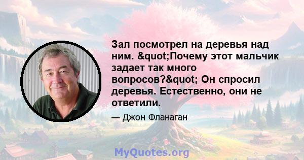 Зал посмотрел на деревья над ним. "Почему этот мальчик задает так много вопросов?" Он спросил деревья. Естественно, они не ответили.