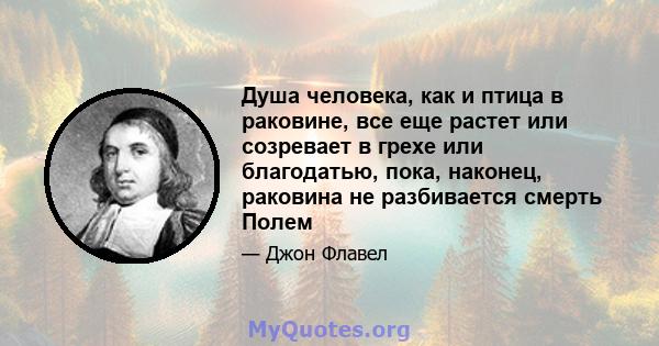 Душа человека, как и птица в раковине, все еще растет или созревает в грехе или благодатью, пока, наконец, раковина не разбивается смерть Полем