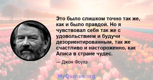 Это было слишком точно так же, как и было правдой. Но я чувствовал себя так же с удовольствием и будучи дезориентированным, так же счастливо и настороженно, как Алиса в стране чудес.