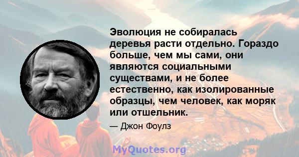 Эволюция не собиралась деревья расти отдельно. Гораздо больше, чем мы сами, они являются социальными существами, и не более естественно, как изолированные образцы, чем человек, как моряк или отшельник.