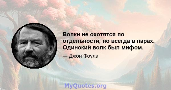 Волки не охотятся по отдельности, но всегда в парах. Одинокий волк был мифом.