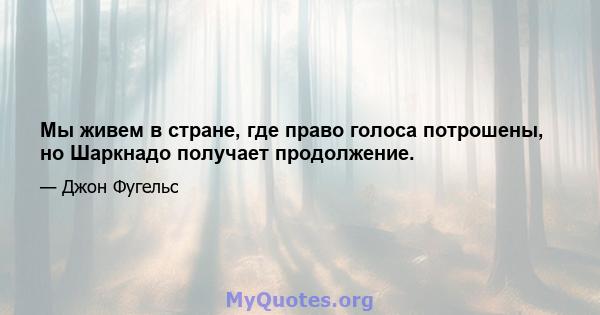 Мы живем в стране, где право голоса потрошены, но Шаркнадо получает продолжение.