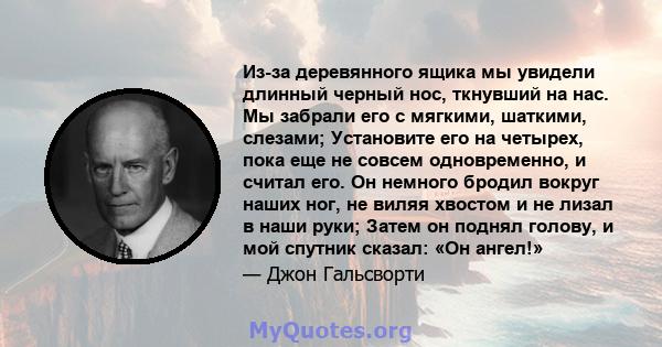 Из-за деревянного ящика мы увидели длинный черный нос, ткнувший на нас. Мы забрали его с мягкими, шаткими, слезами; Установите его на четырех, пока еще не совсем одновременно, и считал его. Он немного бродил вокруг