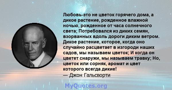 Любовь-это не цветок горячего дома, а дикое растение, рожденное влажной ночью, рожденное от часа солнечного света; Потребовался из диких семян, взорванных вдоль дороги диким ветром. Дикое растение, которое, когда оно