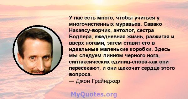 У нас есть много, чтобы учиться у многочисленных муравьев. Савако Накаясу-ворчик, антолог, сестра Бодлера, ежедневная жизнь, разжигая и вверх ногами, затем ставит его в идеальные маленькие коробки. Здесь мы следуем