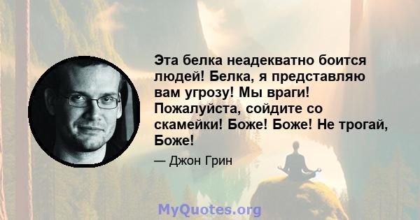 Эта белка неадекватно боится людей! Белка, я представляю вам угрозу! Мы враги! Пожалуйста, сойдите со скамейки! Боже! Боже! Не трогай, Боже!