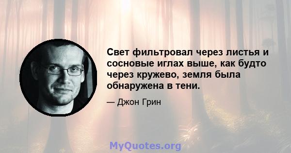 Свет фильтровал через листья и сосновые иглах выше, как будто через кружево, земля была обнаружена в тени.