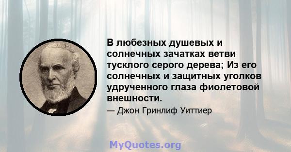 В любезных душевых и солнечных зачатках ветви тусклого серого дерева; Из его солнечных и защитных уголков удрученного глаза фиолетовой внешности.