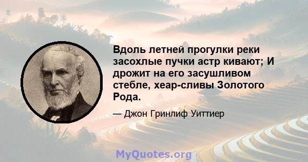 Вдоль летней прогулки реки засохлые пучки астр кивают; И дрожит на его засушливом стебле, хеар-сливы Золотого Рода.