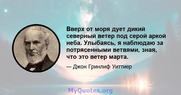 Вверх от моря дует дикий северный ветер под серой аркой неба. Улыбаясь, я наблюдаю за потрясенными ветвями, зная, что это ветер марта.