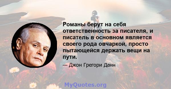 Романы берут на себя ответственность за писателя, и писатель в основном является своего рода овчаркой, просто пытающейся держать вещи на пути.