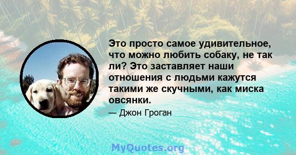 Это просто самое удивительное, что можно любить собаку, не так ли? Это заставляет наши отношения с людьми кажутся такими же скучными, как миска овсянки.