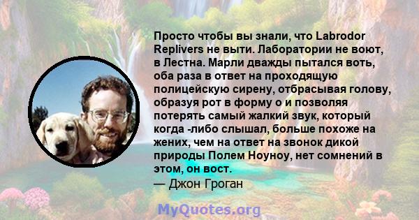 Просто чтобы вы знали, что Labrodor Replivers не выти. Лаборатории не воют, в Лестна. Марли дважды пытался воть, оба раза в ответ на проходящую полицейскую сирену, отбрасывая голову, образуя рот в форму o и позволяя