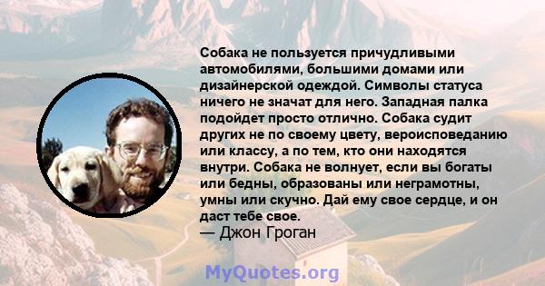 Собака не пользуется причудливыми автомобилями, большими домами или дизайнерской одеждой. Символы статуса ничего не значат для него. Западная палка подойдет просто отлично. Собака судит других не по своему цвету,