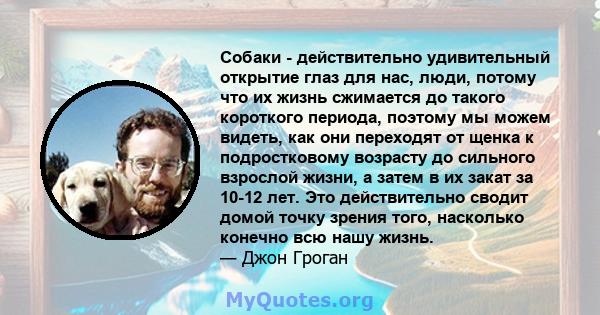 Собаки - действительно удивительный открытие глаз для нас, люди, потому что их жизнь сжимается до такого короткого периода, поэтому мы можем видеть, как они переходят от щенка к подростковому возрасту до сильного