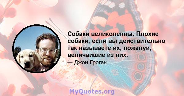 Собаки великолепны. Плохие собаки, если вы действительно так называете их, пожалуй, величайшие из них.