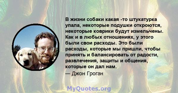 В жизни собаки какая -то штукатурка упала, некоторые подушки откроются, некоторые коврики будут измельчены. Как и в любых отношениях, у этого были свои расходы. Это были расходы, которые мы пришли, чтобы принять и