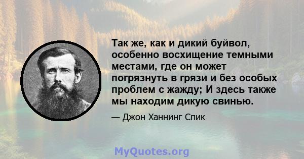 Так же, как и дикий буйвол, особенно восхищение темными местами, где он может погрязнуть в грязи и без особых проблем с жажду; И здесь также мы находим дикую свинью.