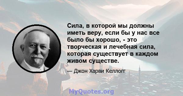 Сила, в которой мы должны иметь веру, если бы у нас все было бы хорошо, - это творческая и лечебная сила, которая существует в каждом живом существе.