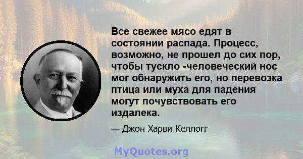 Все свежее мясо едят в состоянии распада. Процесс, возможно, не прошел до сих пор, чтобы тускло -человеческий нос мог обнаружить его, но перевозка птица или муха для падения могут почувствовать его издалека.