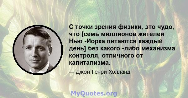 С точки зрения физики, это чудо, что [семь миллионов жителей Нью -Йорка питаются каждый день] без какого -либо механизма контроля, отличного от капитализма.