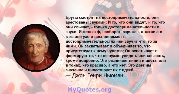 Бруты смотрят на достопримечательности, они арестованы звуками; И то, что они видят, и то, что они слышат, - только достопримечательности и звуки. Интеллекф, наоборот, заряжен, а также его глаз или ухо и воспринимает в