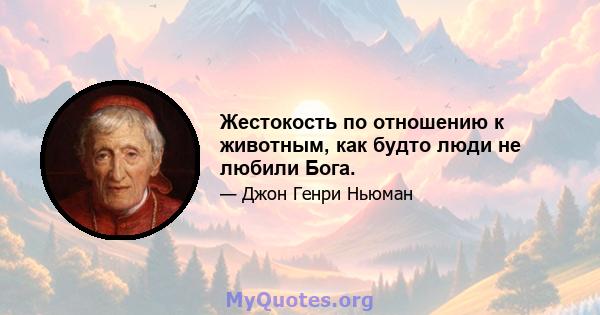 Жестокость по отношению к животным, как будто люди не любили Бога.