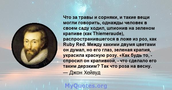 Что за травы и сорняки, и такие вещи могли говорить, однажды человек в своем саду ходил, шпионив на зеленом крапиве (как Thiemeraude), распространившегося в ложе из роз, как Ruby Red. Между какими двумя цветами он