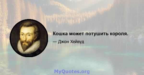 Кошка может потушить короля.