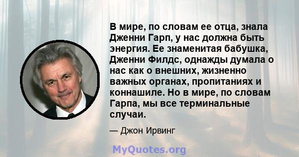 В мире, по словам ее отца, знала Дженни Гарп, у нас должна быть энергия. Ее знаменитая бабушка, Дженни Филдс, однажды думала о нас как о внешних, жизненно важных органах, пропитаниях и коннашиле. Но в мире, по словам