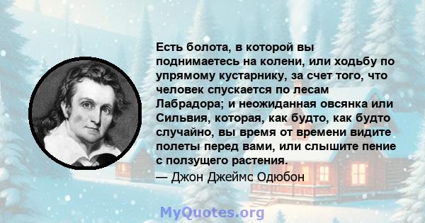 Есть болота, в которой вы поднимаетесь на колени, или ходьбу по упрямому кустарнику, за счет того, что человек спускается по лесам Лабрадора; и неожиданная овсянка или Сильвия, которая, как будто, как будто случайно, вы 