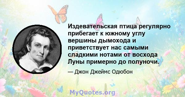 Издевательская птица регулярно прибегает к южному углу вершины дымохода и приветствует нас самыми сладкими нотами от восхода Луны примерно до полуночи.