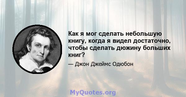 Как я мог сделать небольшую книгу, когда я видел достаточно, чтобы сделать дюжину больших книг?