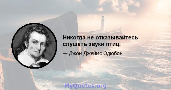 Никогда не отказывайтесь слушать звуки птиц.