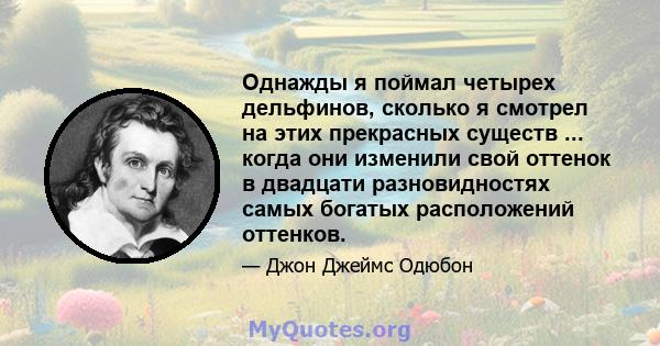 Однажды я поймал четырех дельфинов, сколько я смотрел на этих прекрасных существ ... когда они изменили свой оттенок в двадцати разновидностях самых богатых расположений оттенков.