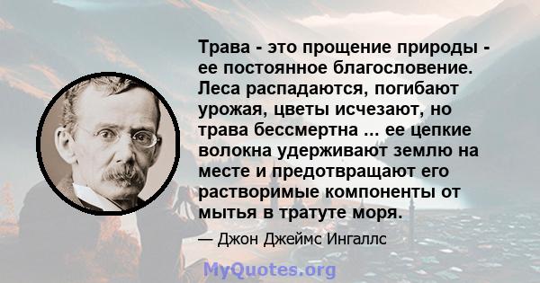 Трава - это прощение природы - ее постоянное благословение. Леса распадаются, погибают урожая, цветы исчезают, но трава бессмертна ... ее цепкие волокна удерживают землю на месте и предотвращают его растворимые