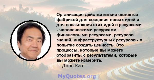 Организация действительно является фабрикой для создания новых идей и для связывания этих идей с ресурсами - человеческими ресурсами, финансовыми ресурсами, ресурсов знаний, инфраструктурных ресурсов - в попытке создать 