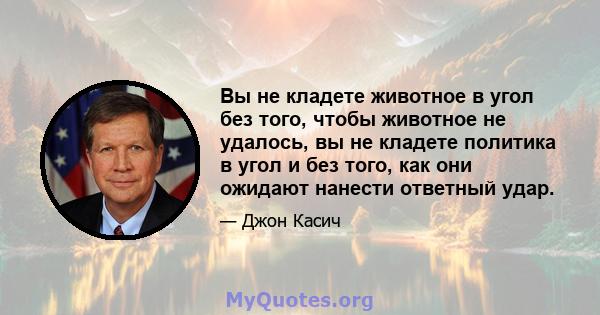 Вы не кладете животное в угол без того, чтобы животное не удалось, вы не кладете политика в угол и без того, как они ожидают нанести ответный удар.