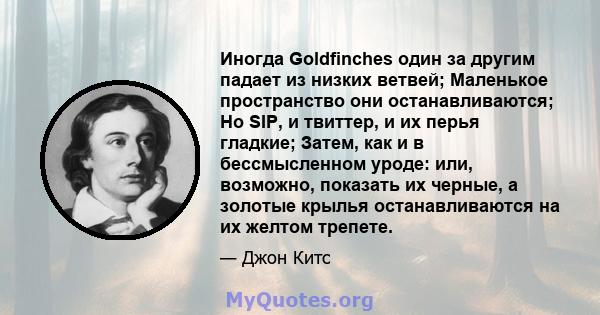 Иногда Goldfinches один за другим падает из низких ветвей; Маленькое пространство они останавливаются; Но SIP, и твиттер, и их перья гладкие; Затем, как и в бессмысленном уроде: или, возможно, показать их черные, а