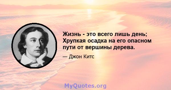 Жизнь - это всего лишь день; Хрупкая осадка на его опасном пути от вершины дерева.