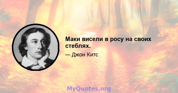 Маки висели в росу на своих стеблях.