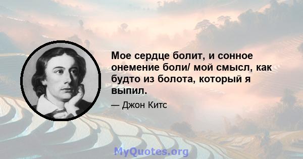 Мое сердце болит, и сонное онемение боли/ мой смысл, как будто из болота, который я выпил.