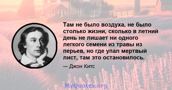 Там не было воздуха, не было столько жизни, сколько в летний день не лишает ни одного легкого семени из травы из перьев, но где упал мертвый лист, там это остановилось.