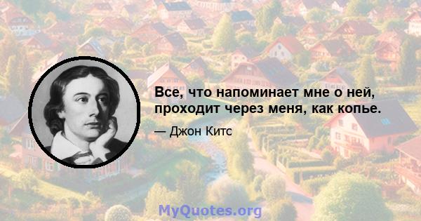 Все, что напоминает мне о ней, проходит через меня, как копье.