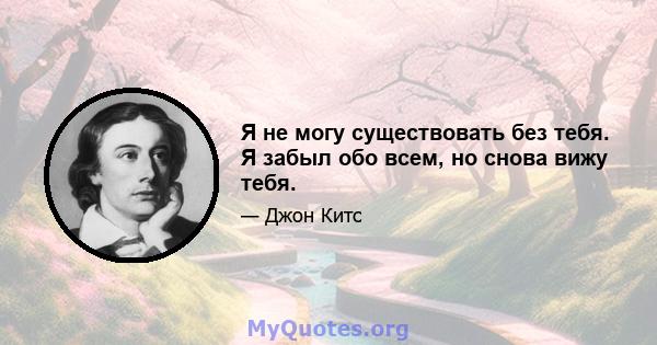 Я не могу существовать без тебя. Я забыл обо всем, но снова вижу тебя.