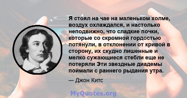 Я стоял на чае на маленьком холме, воздух охлаждался, и настолько неподвижно, что сладкие почки, которые со скромной гордостью потянули, в отклонении от кривой в сторону, их скудно лишенные и мелко сужающиеся стебли еще 